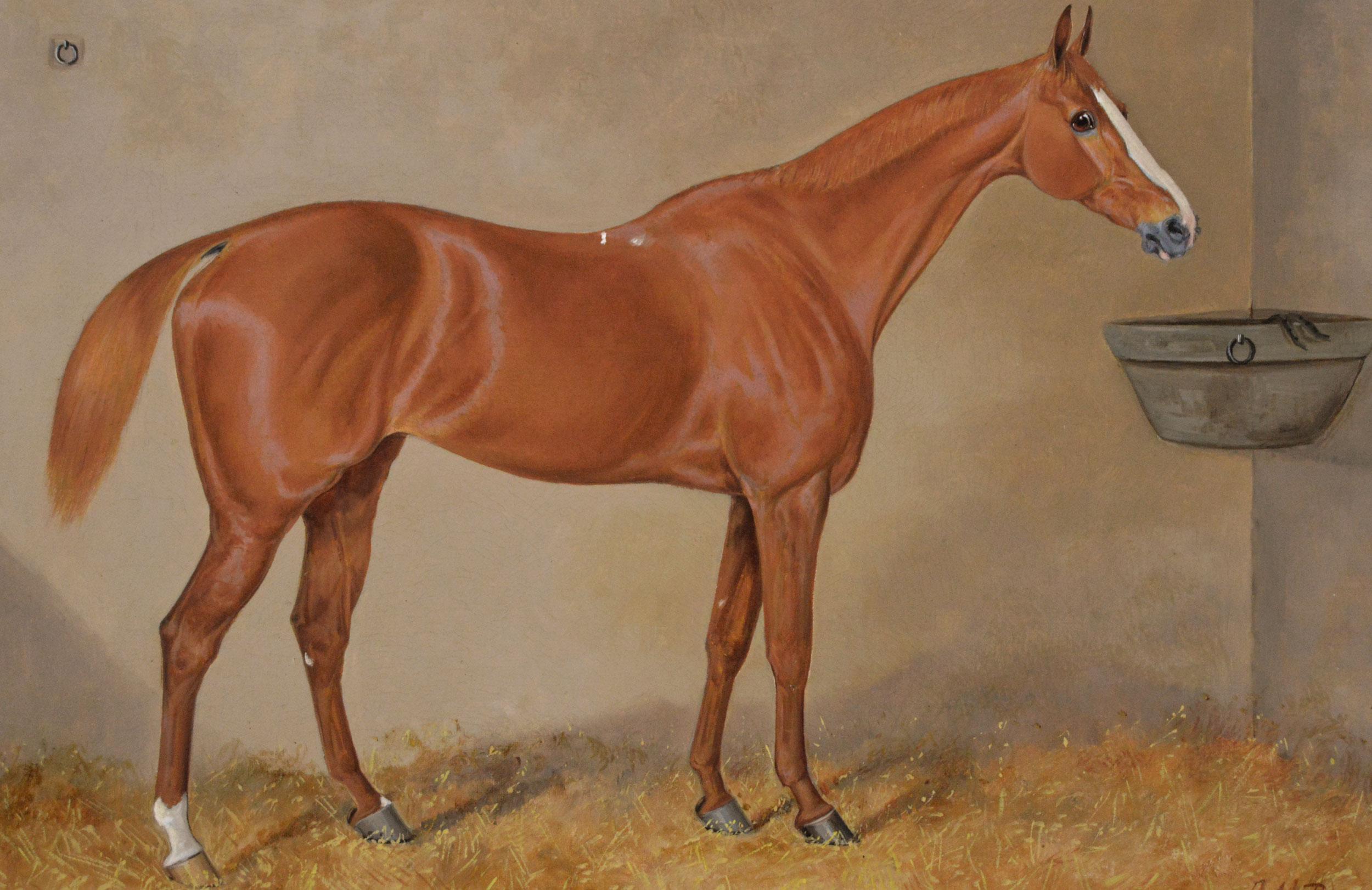 19. Jahrhundert Pferdeporträt Ölgemälde eines Fuchsjägers (Viktorianisch), Painting, von Alfred Moginie Bryant