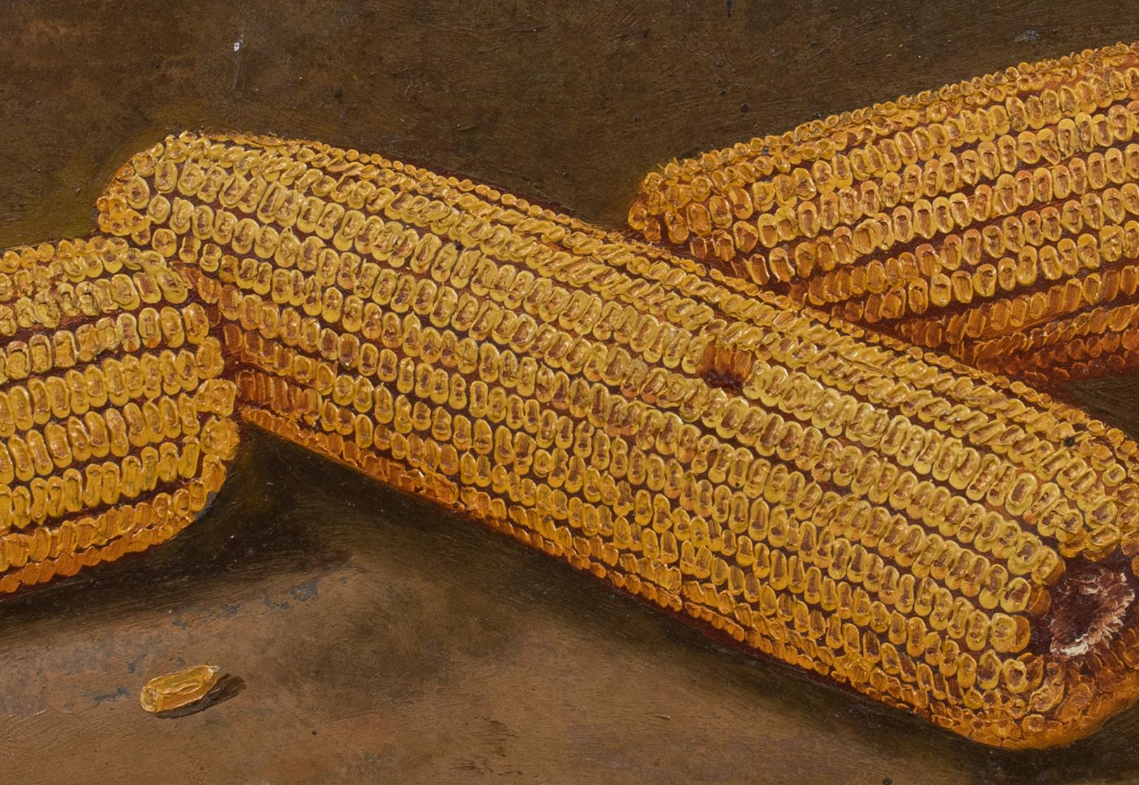 Study of Corn On The Cob, 19th Century 1