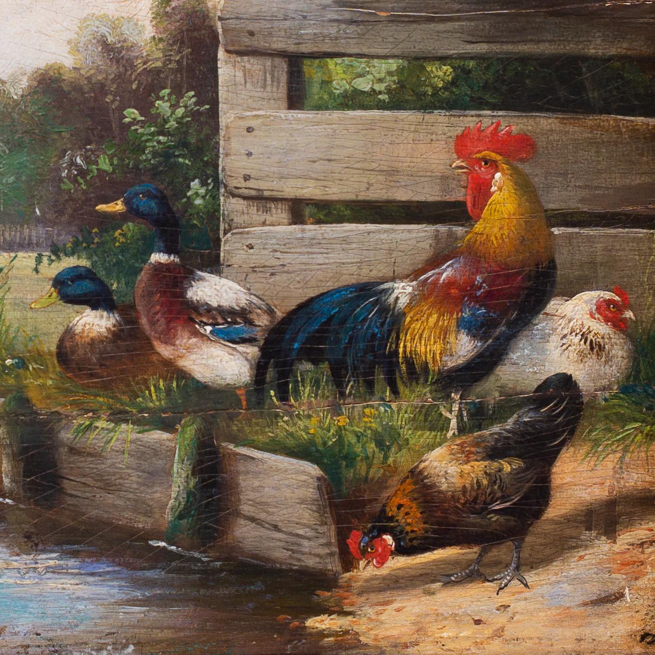 Coq avec poules et canards près d'un étang par l'artiste allemand Alfred Schönian en vente 3