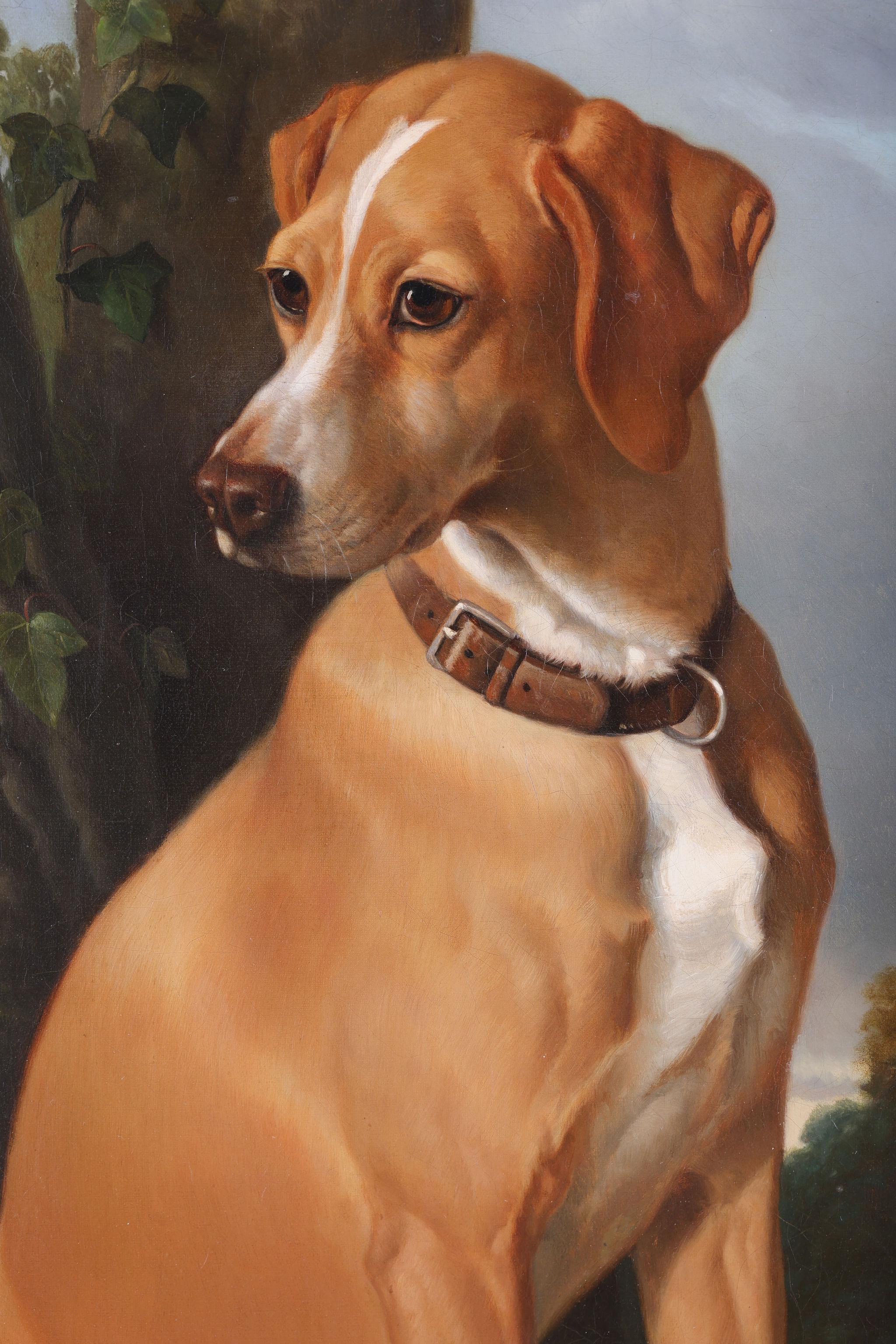 A Portugese Pointer - A Dog by his Master's Gun - French School Painting by Alfred Ste. Marie