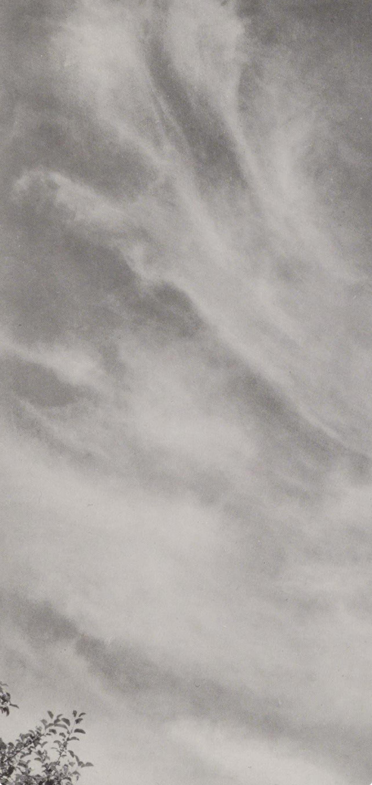 Alfred Stieglitz, Equivalent 27C, 1947 (d'après) en vente 1