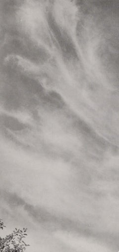 Alfred Stieglitz, Equivalent 27C, 1947 (after)