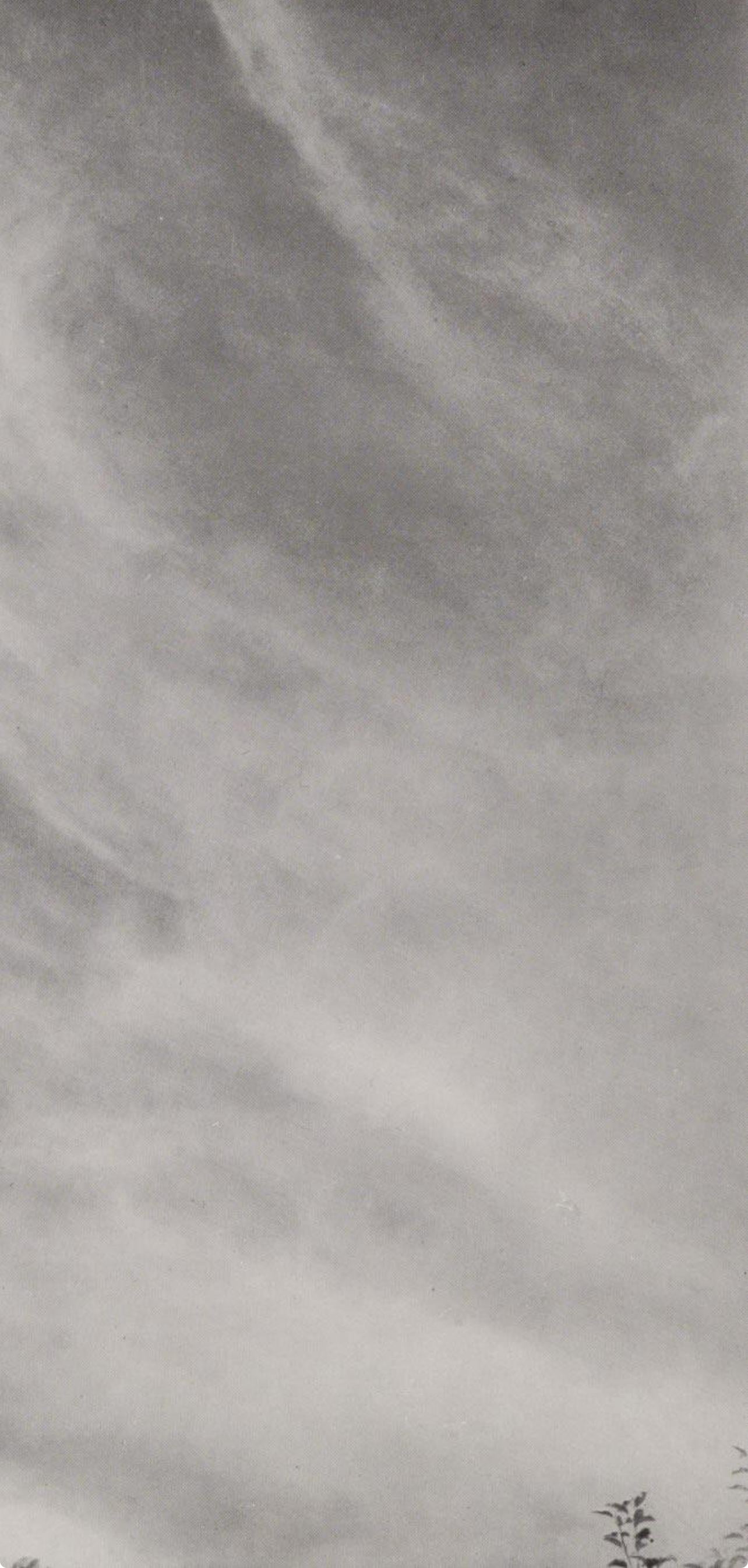 Alfred Stieglitz, Equivalent 27C, 1947 (d'après) en vente 3