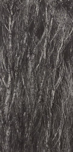 Alfred Stieglitz, Poplars, Lake George, 1947 (after)