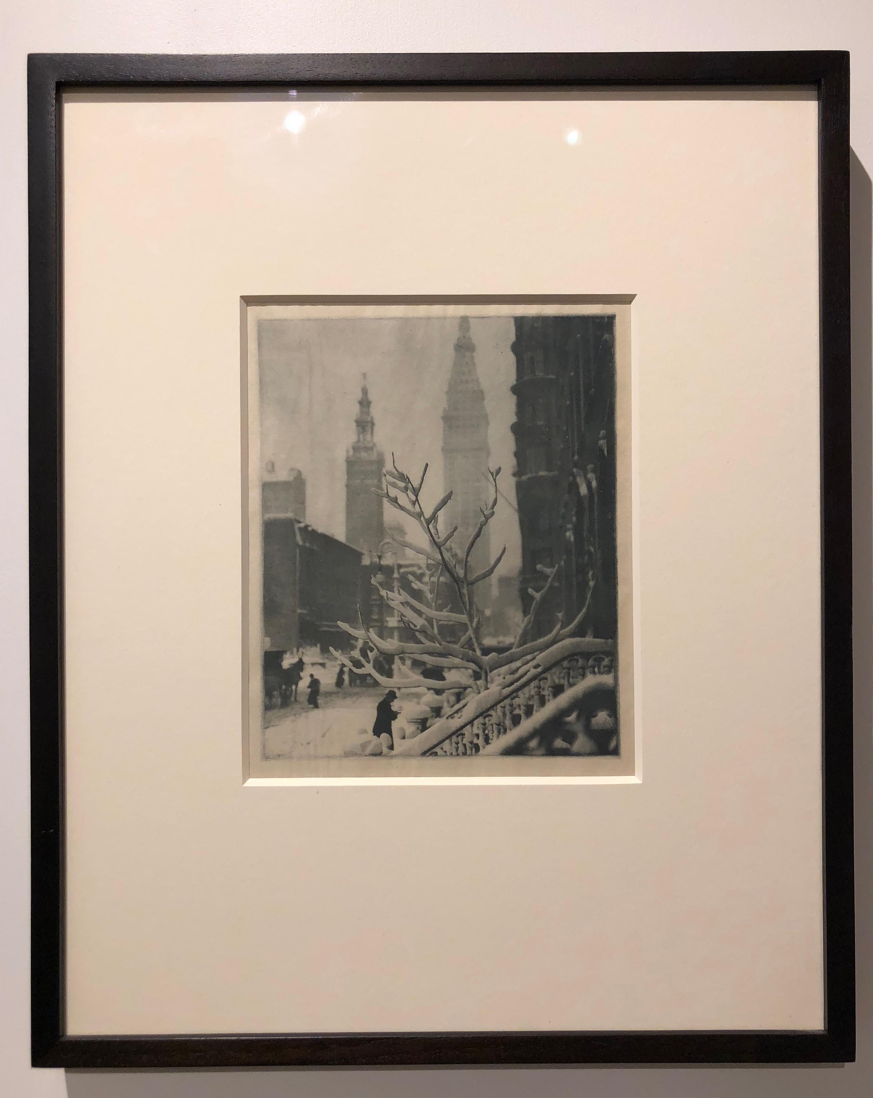 alfred stieglitz old and new new york