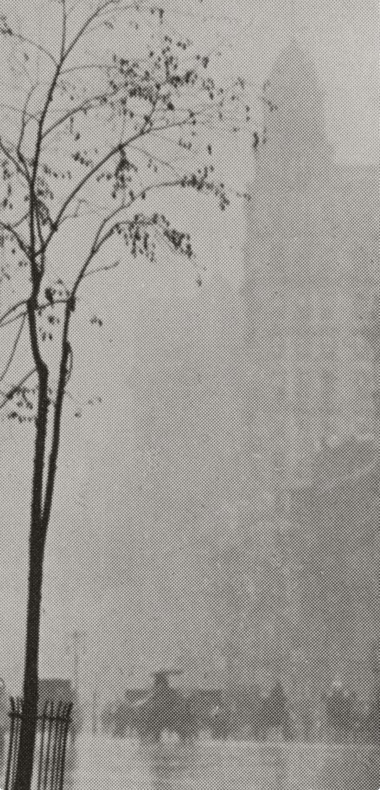 Stieglitz, Spring Showers, New York, Alfred Stieglitz Memorial Portfolio (d'après) en vente 2