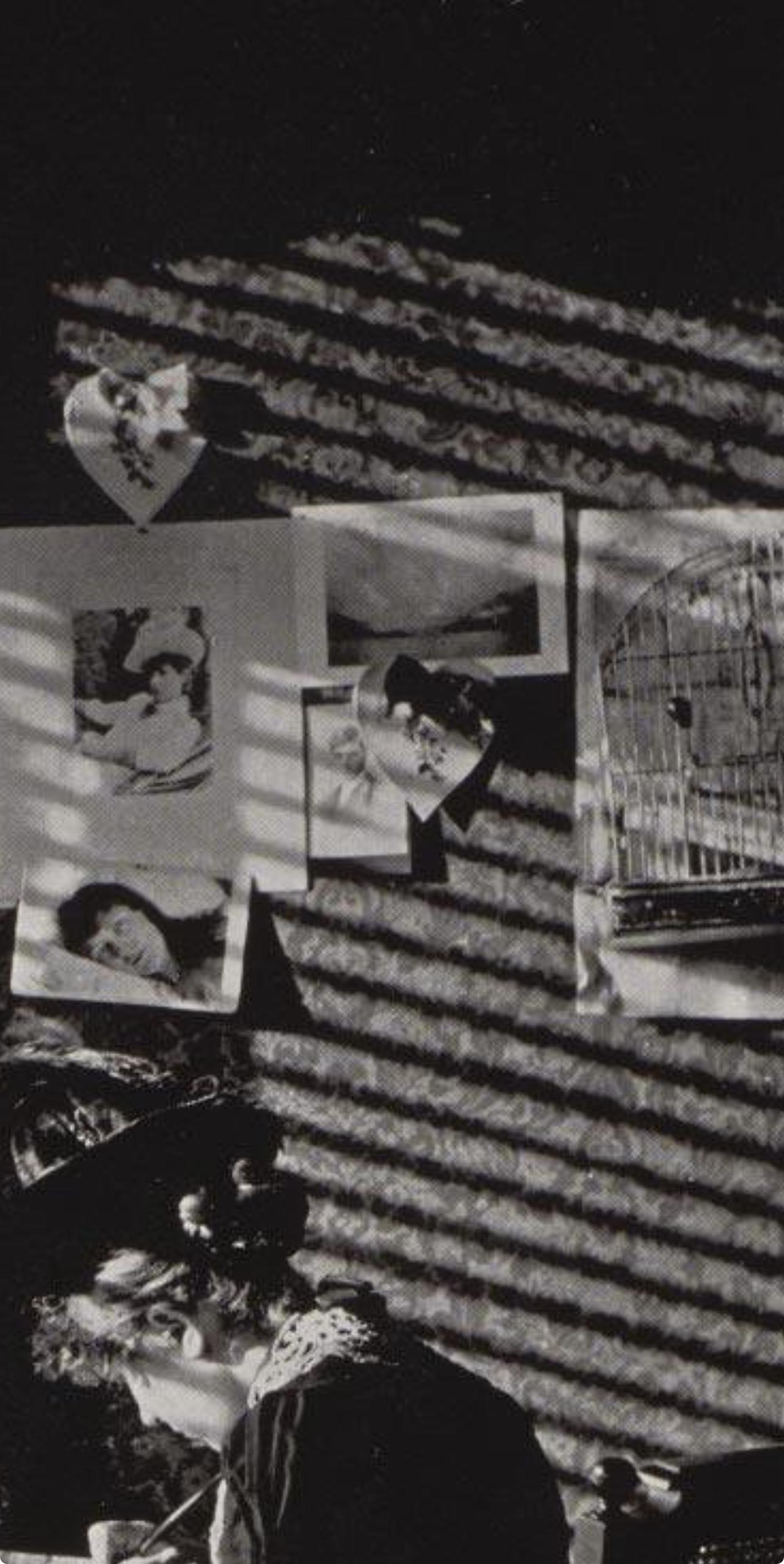 Stieglitz, Sunlight and Shadows, Alfred Stieglitz Memorial Portfolio (d'après) en vente 4