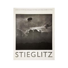 Affiche originale de Stieglitz - Paris, 1984