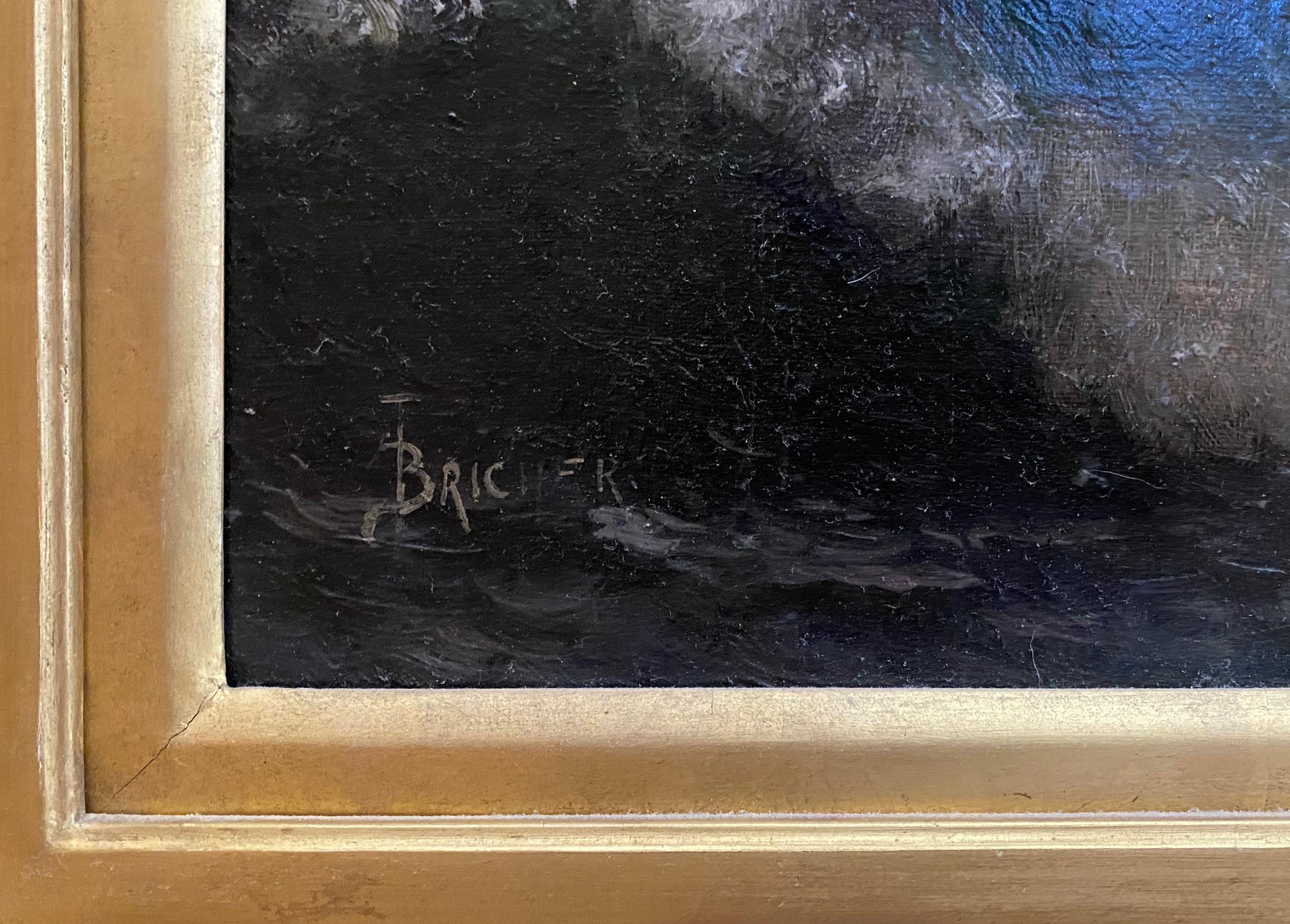 Sous un ciel divisé, paysage marin de naufrage 4