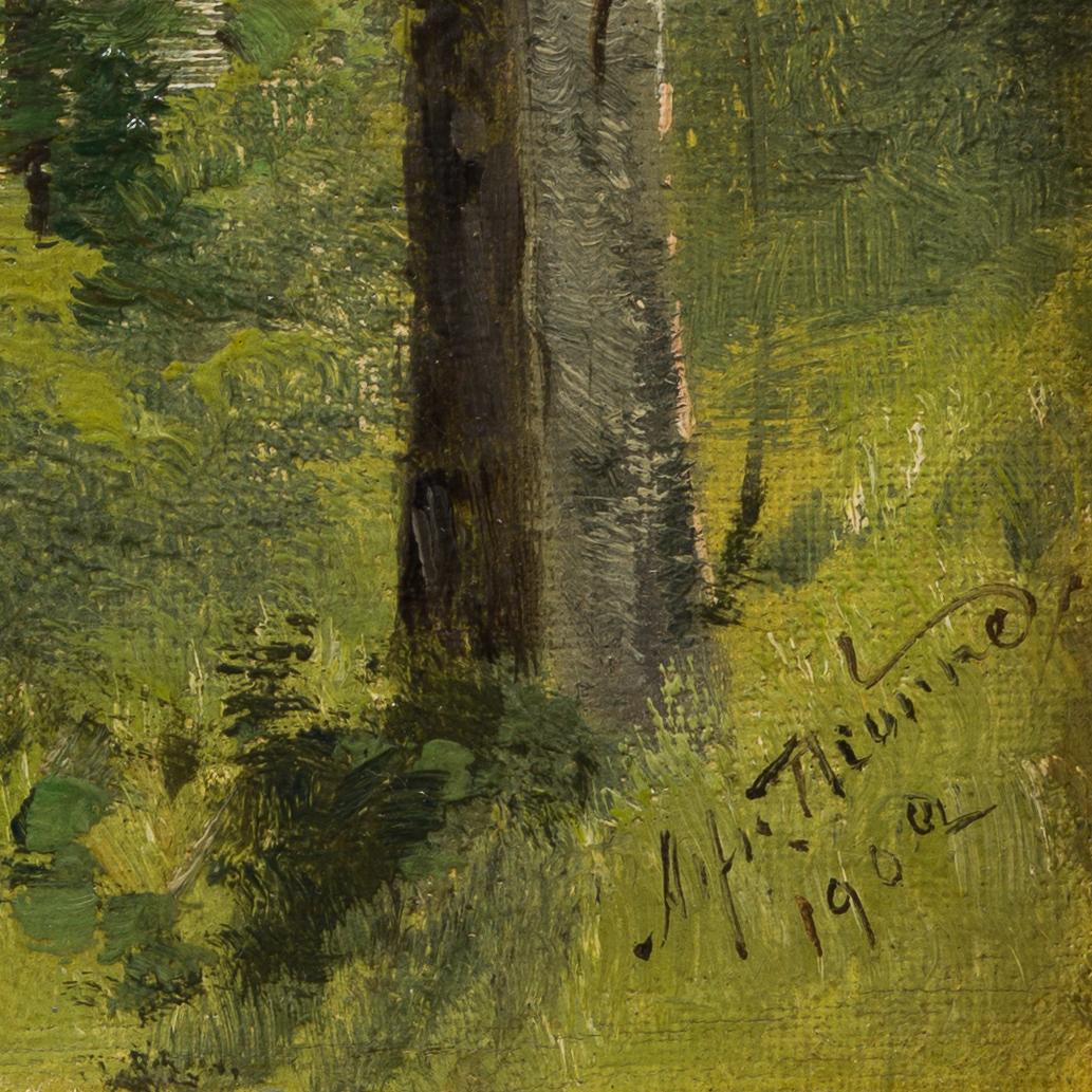 Kleines Ölgemälde aus dem Jahr 1902 mit dem Titel Birkenbäumen des Flusses (Akademisch), Painting, von Alfred Thörne