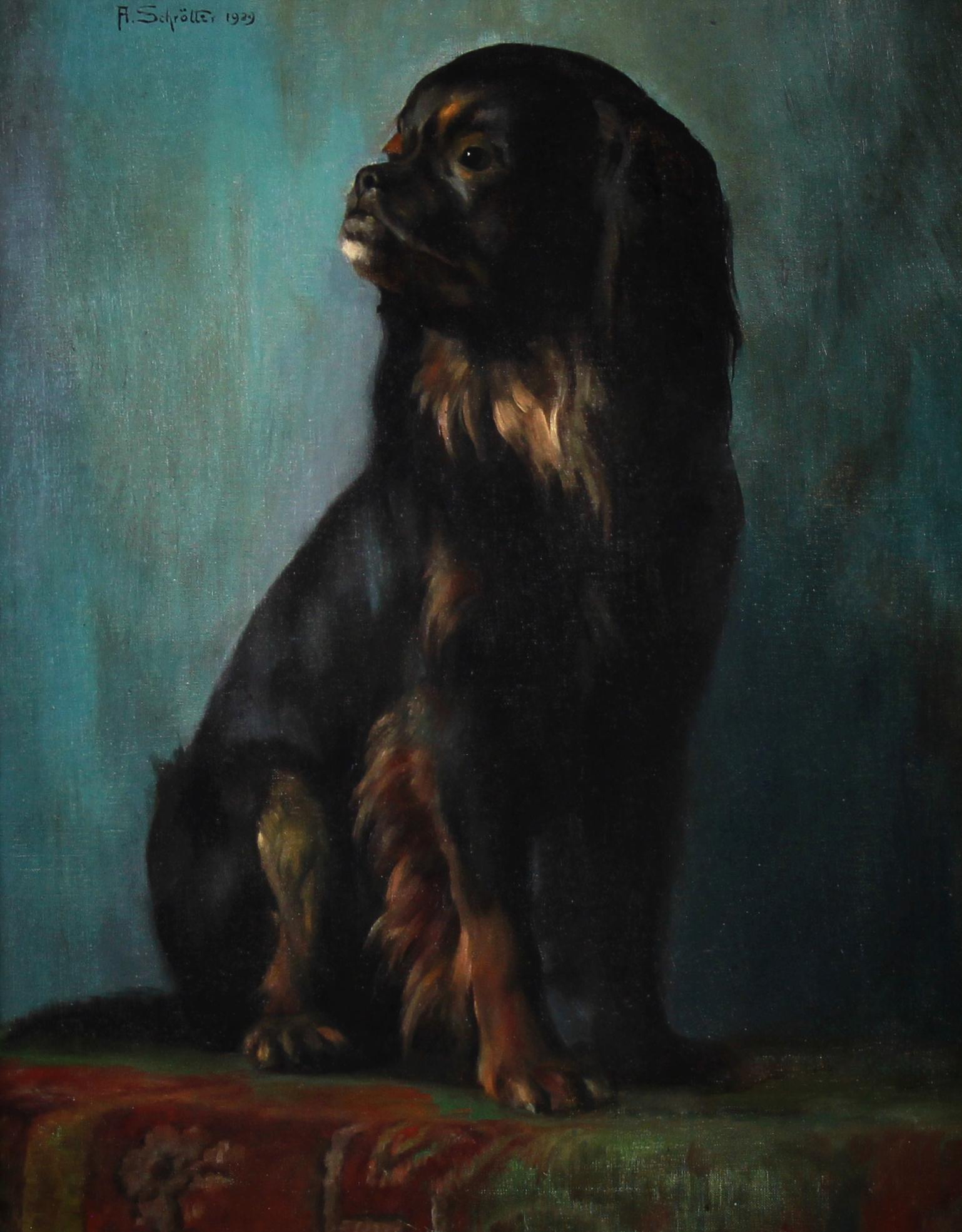 Ritratto di cane pechinese, dipinto a olio su tela di A.I.C. 20° secolo. - Painting di Alfred Von Schrotter