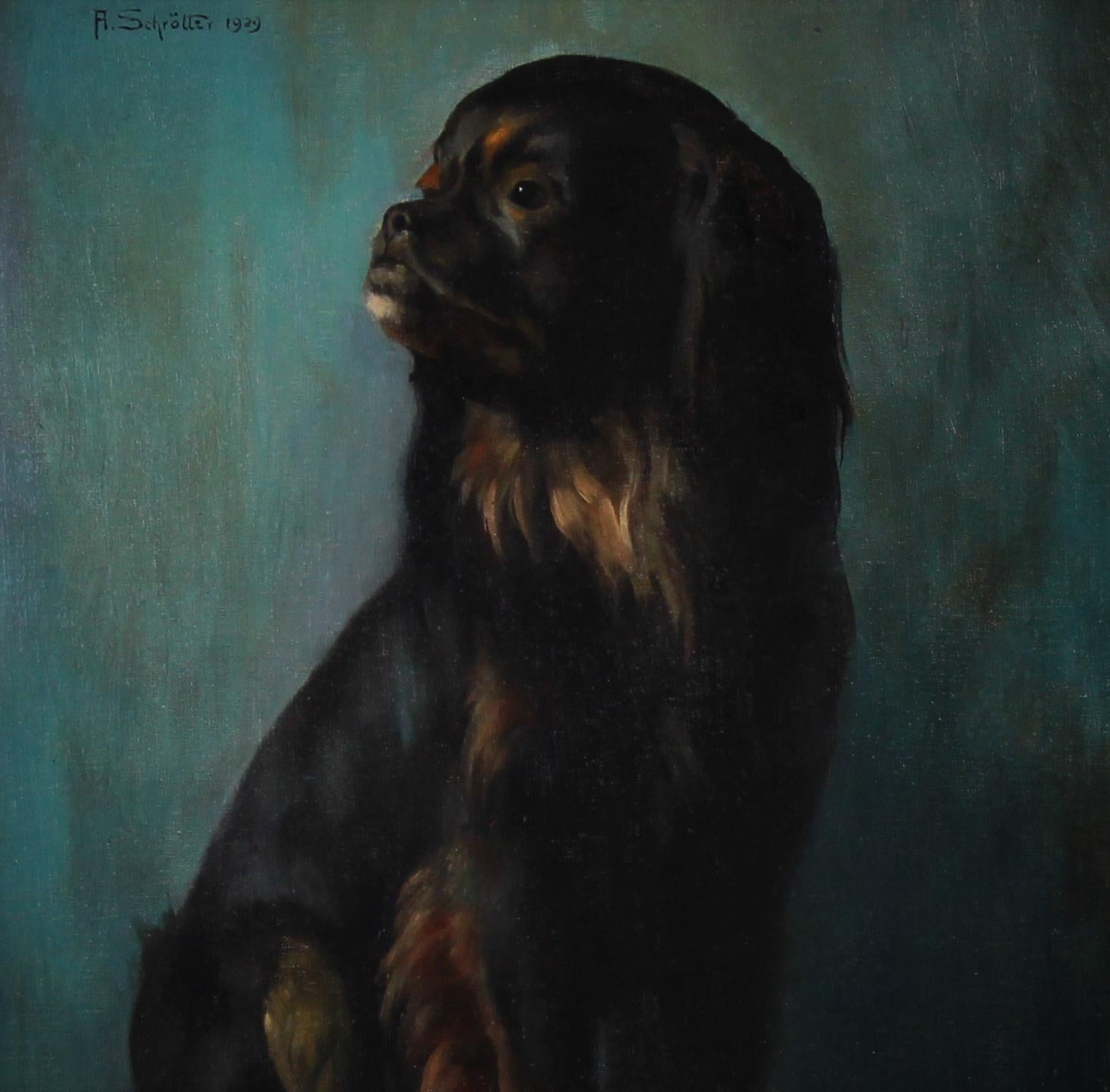 Ritratto di cane pechinese, dipinto a olio su tela di A.I.C. 20° secolo. - Painting Altro stile artistico di Alfred Von Schrotter