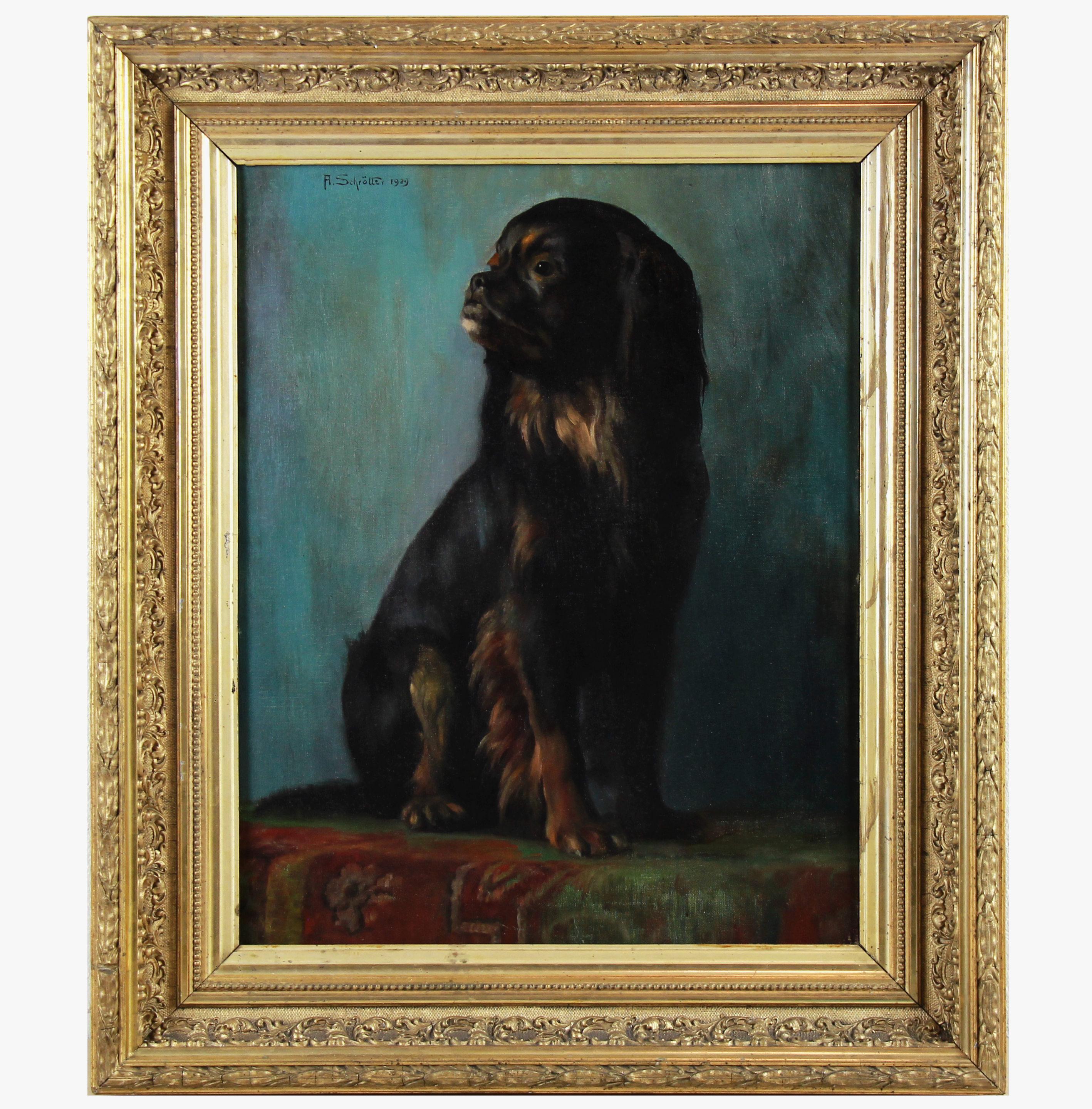 Ritratto di cane pechinese, dipinto a olio su tela di A.I.C. 20° secolo.