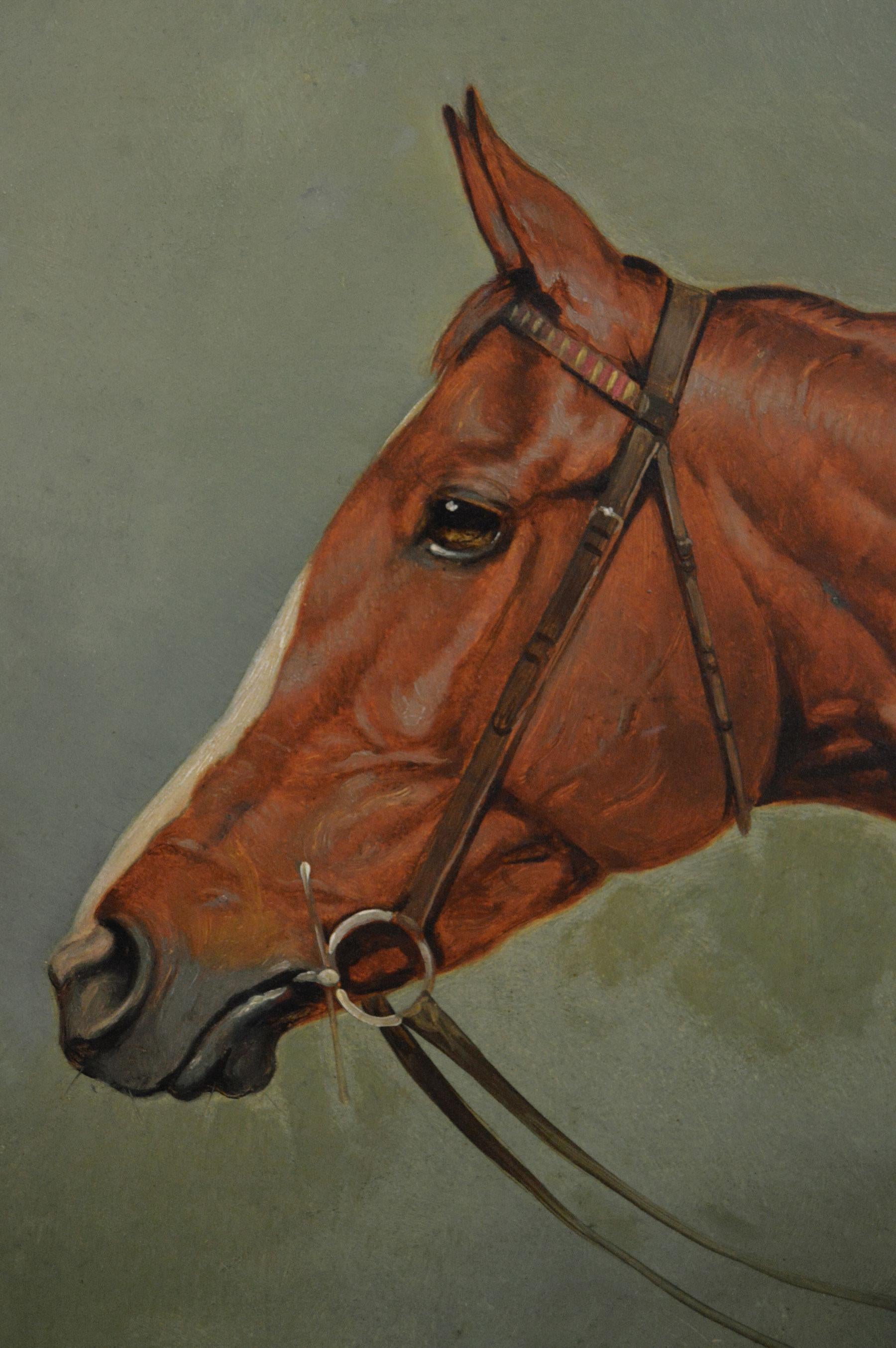Horse head portrait oil painting of the racehorse Cicero - Brown Animal Painting by Alfred Wheeler