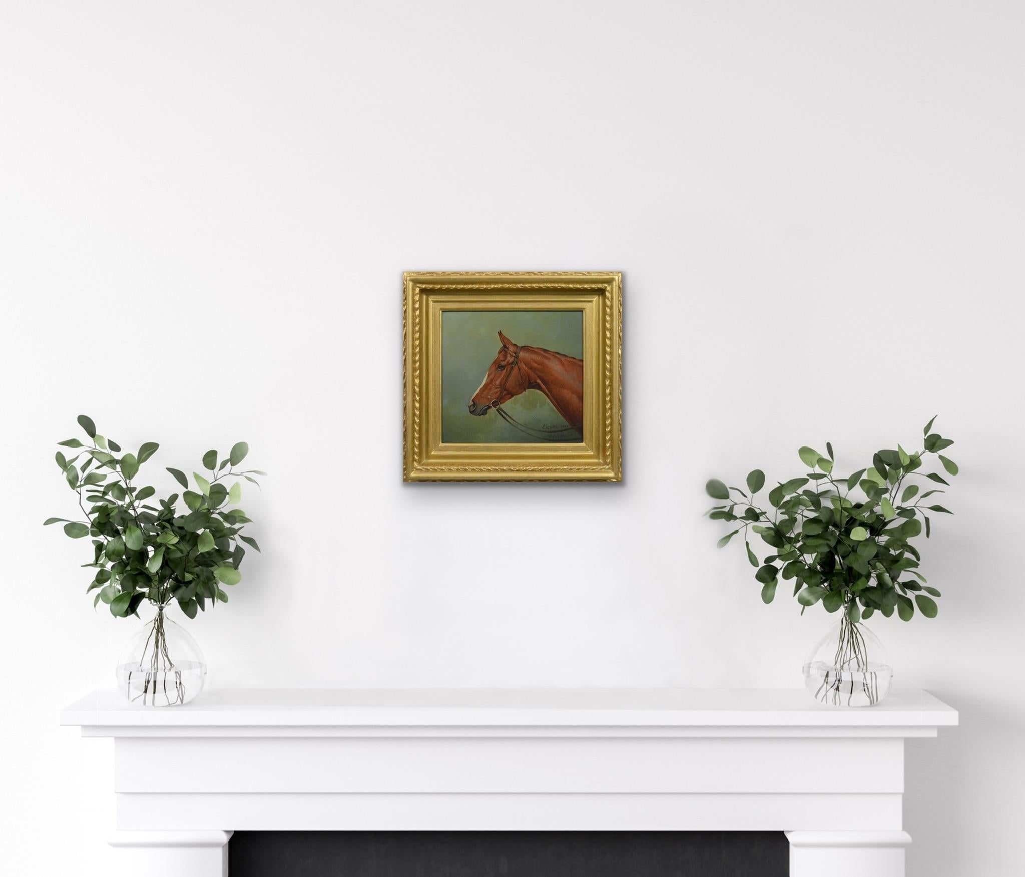 Horse head portrait oil painting of the racehorse Cicero For Sale 1