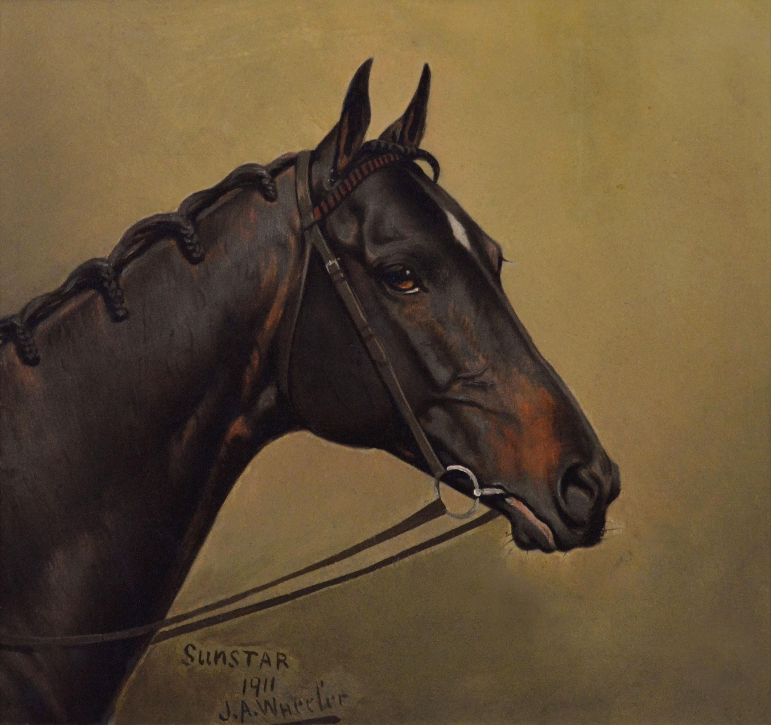 Cabeza de caballo retrato al óleo del caballo de carreras Sunstar - Painting de Alfred Wheeler