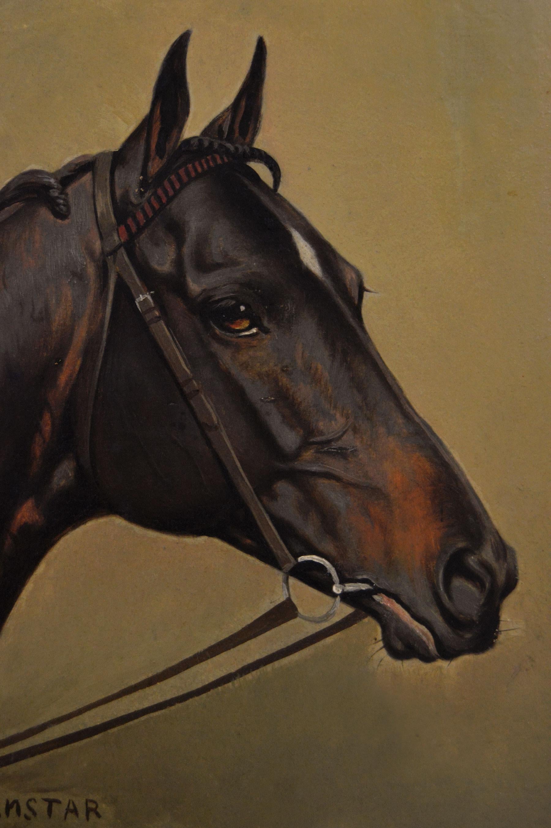 Cabeza de caballo retrato al óleo del caballo de carreras Sunstar - Painting Victoriano de Alfred Wheeler