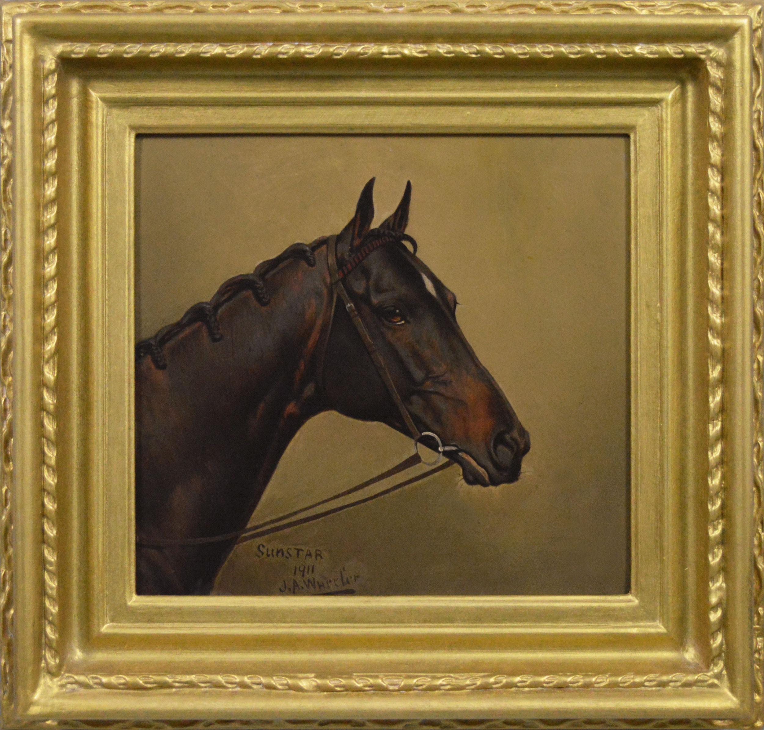 Cabeza de caballo retrato al óleo del caballo de carreras Sunstar