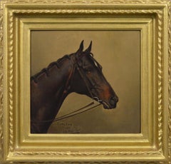 Horse head portrait oil painting of the racehorse Sunstar