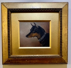 Victorian English 19th century portrait of a Pinscher dog.