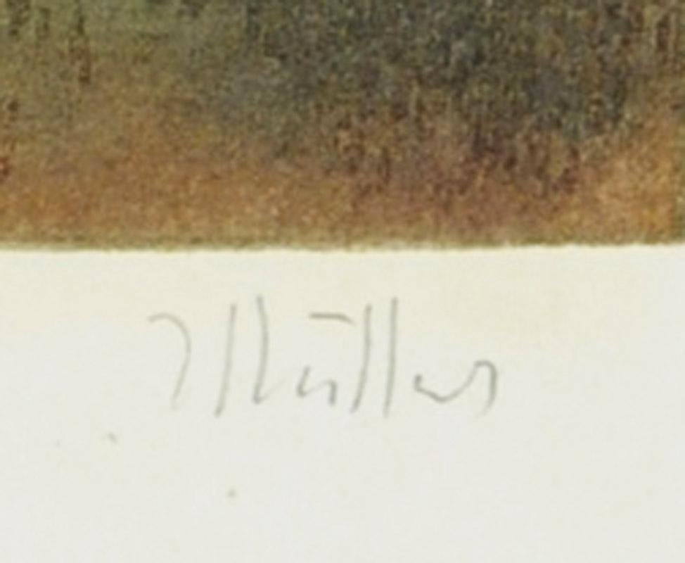 La Grande Cascade de Saint Cloud
Color aquatint on watermarked Arches J Perrigot paper, 1905
Signed by the artist in pencil lower right.  (see photo)
Edition: 100. Numbered 