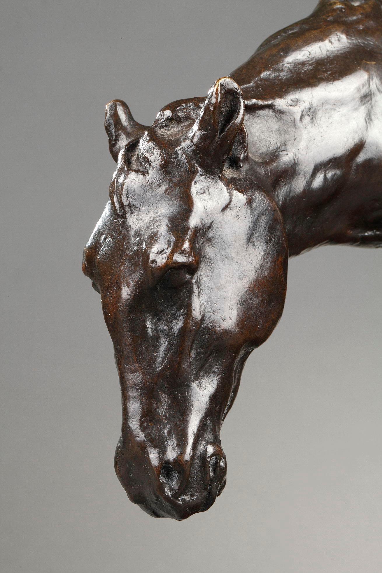 Cavallo sellato 5