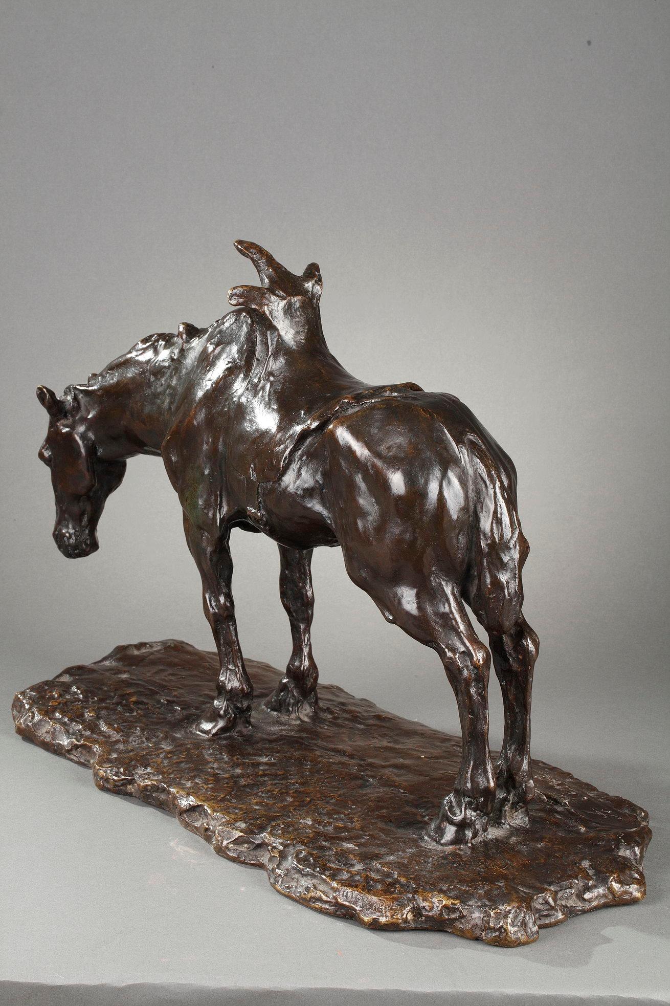 Cavallo sellato 1