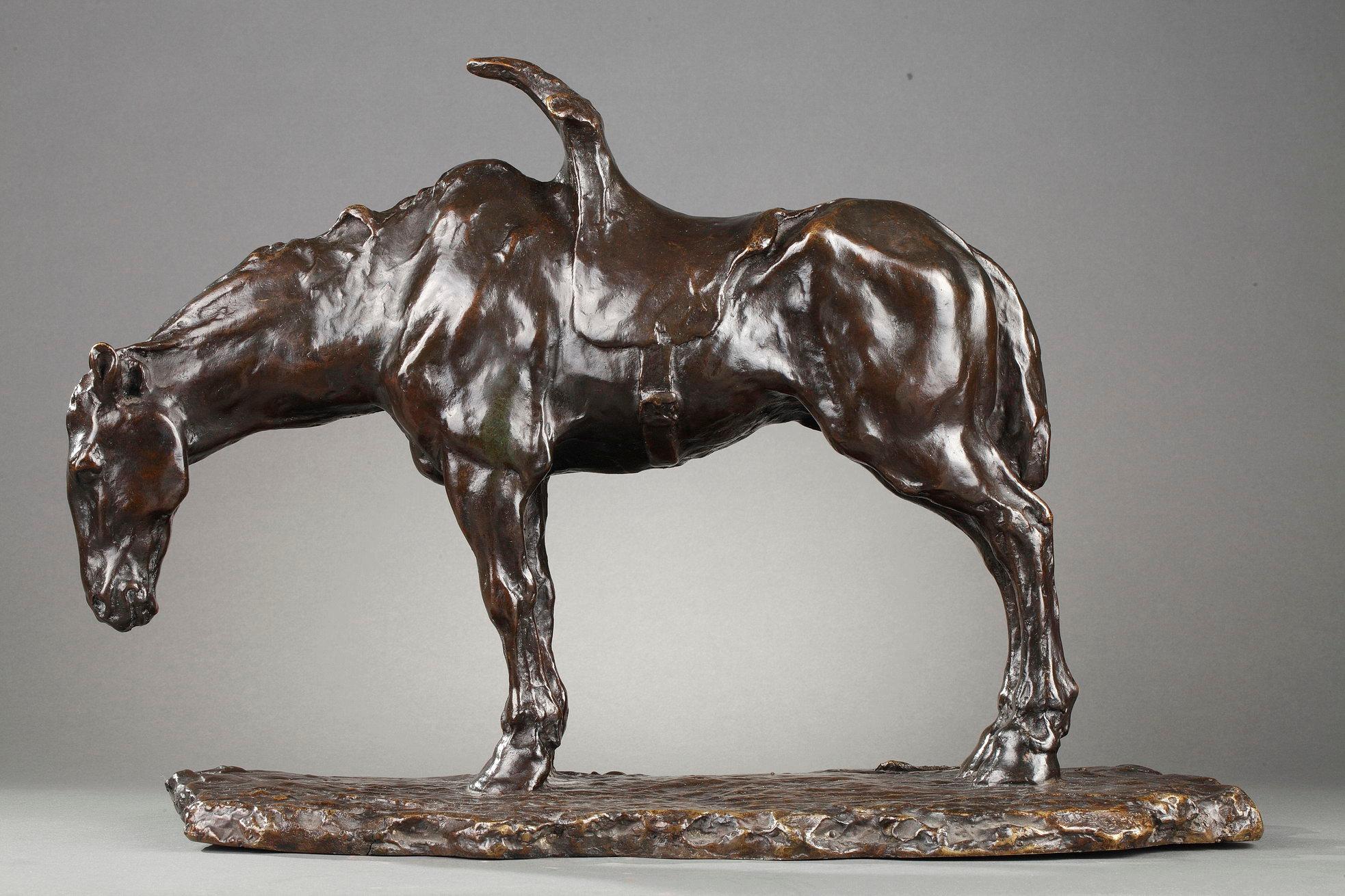 Cavallo sellato 2