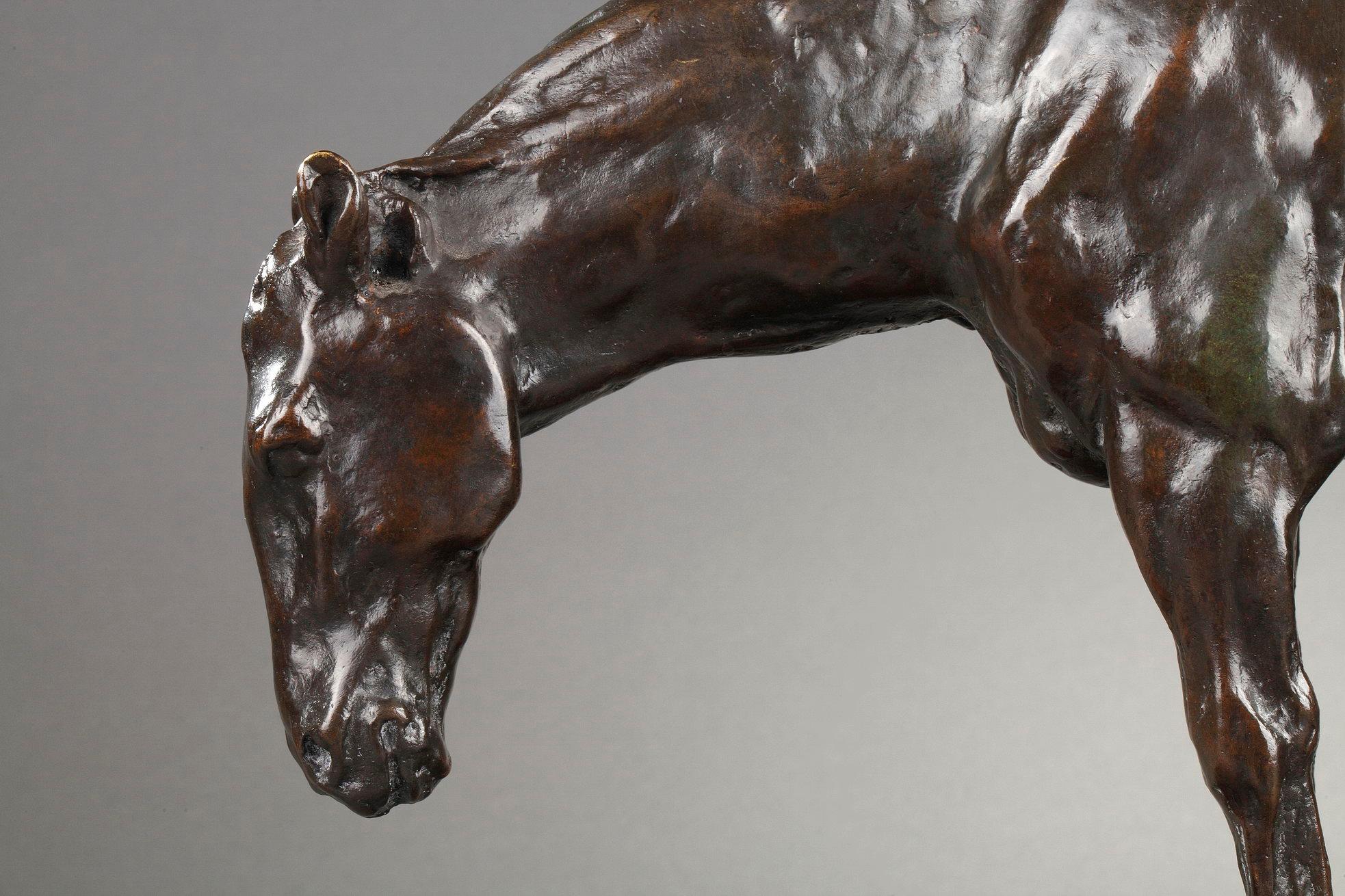 Cavallo sellato 3