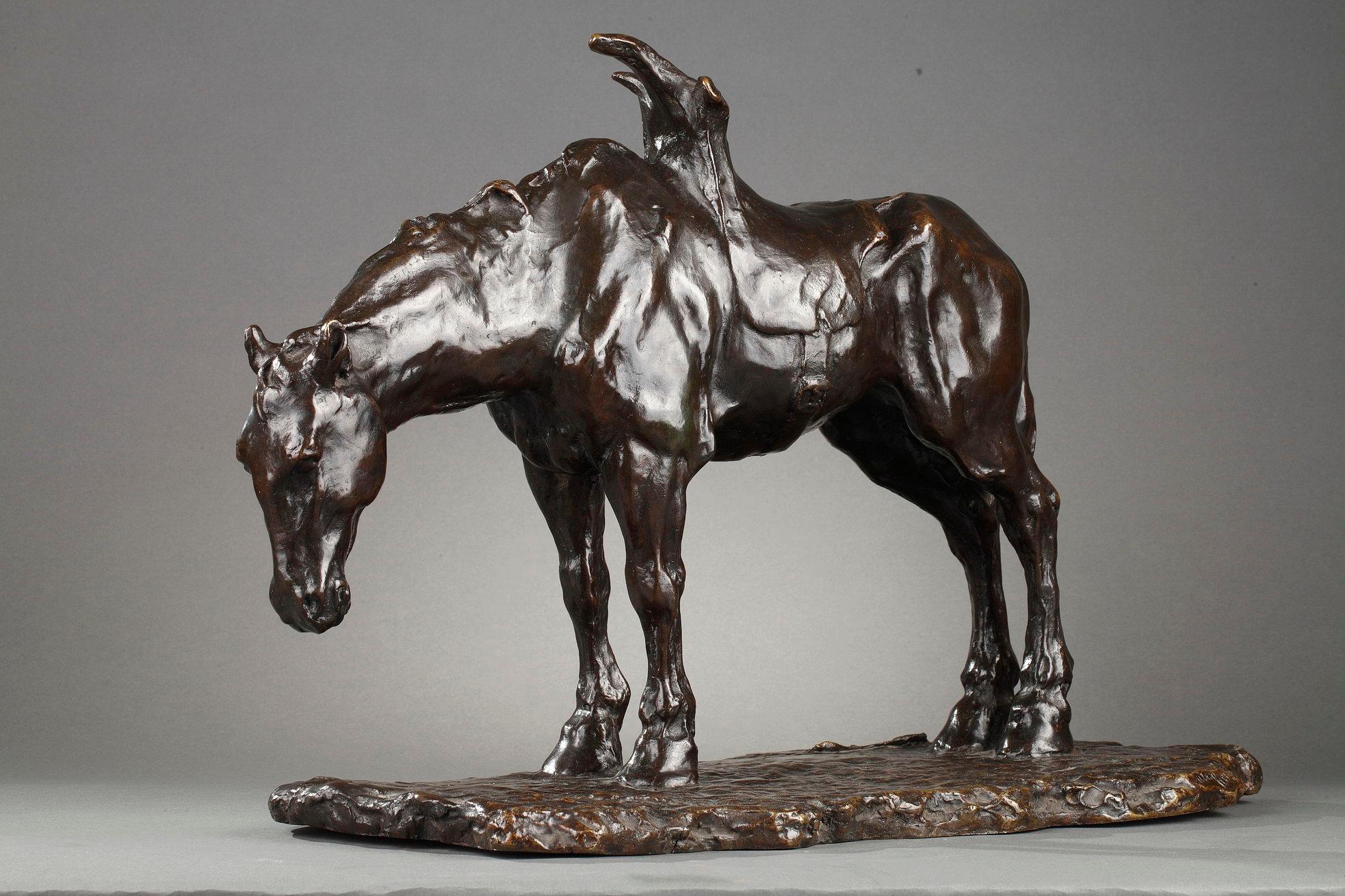 Cavallo sellato 4