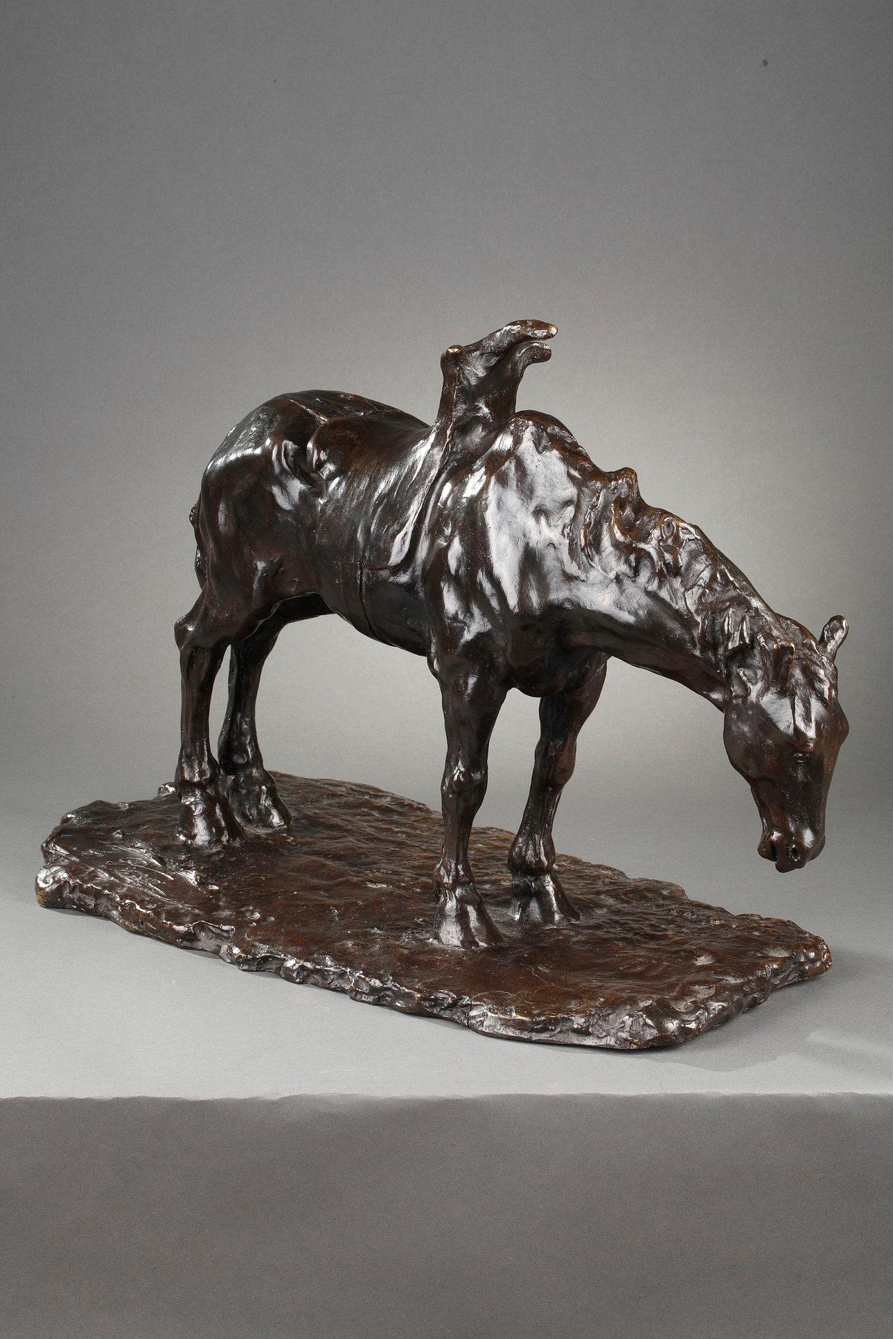 Cavallo sellato