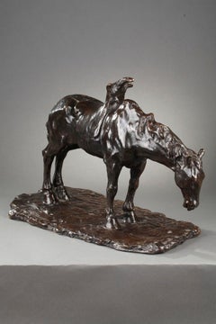 Used Saddled Horse