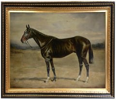 BLACK HORSE - Italian animalia oil on canvas painting by Alfredo Santini