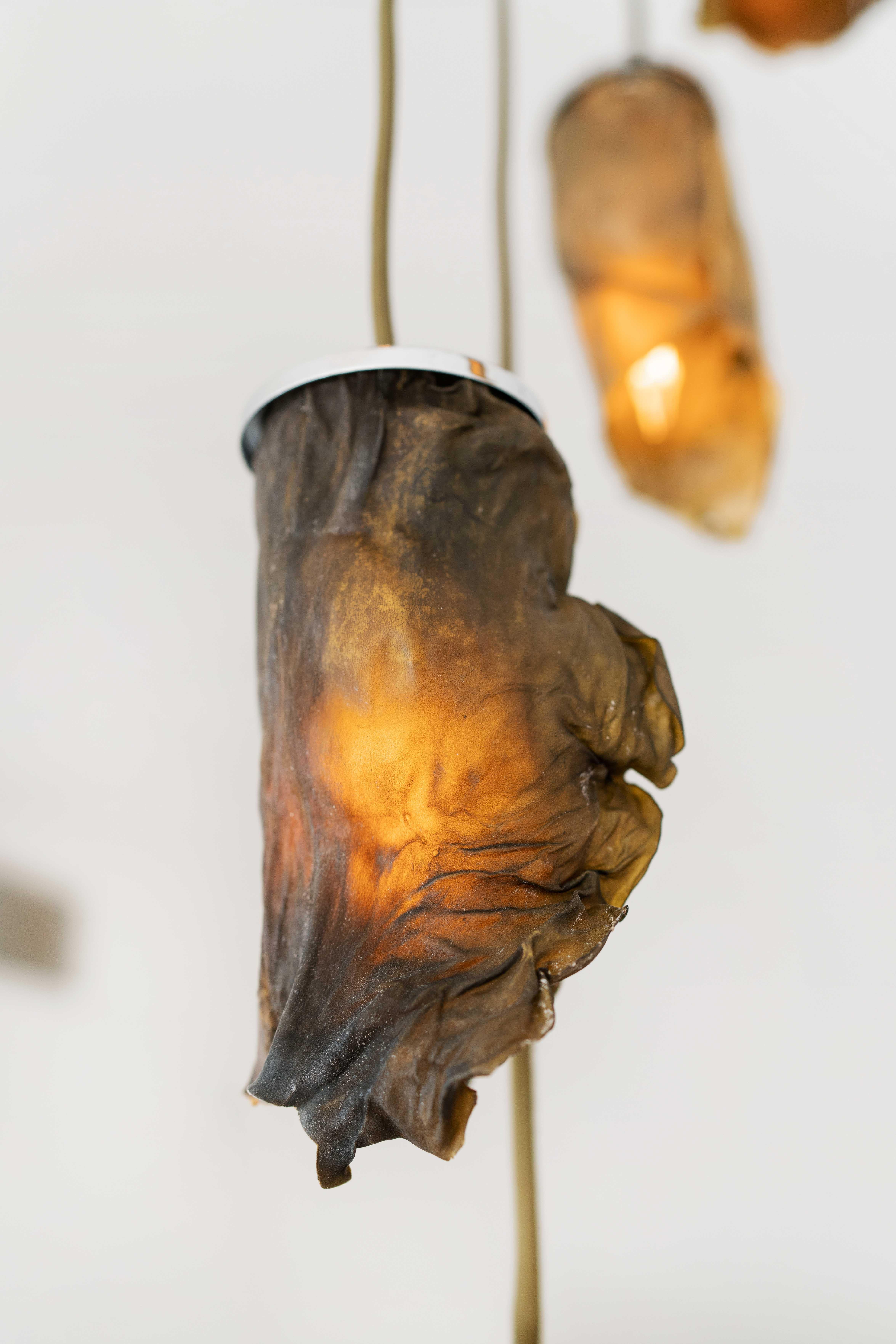 Algae Pendant Contemporary Customisable Lighting in Natural, Organic Algae In New Condition For Sale In Brooklyn, NY