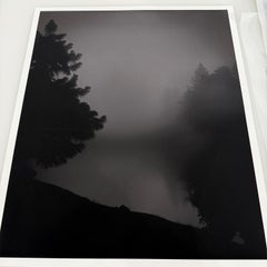 Algonquin Limited Edition Art Photograph Medium - 32" x 40"