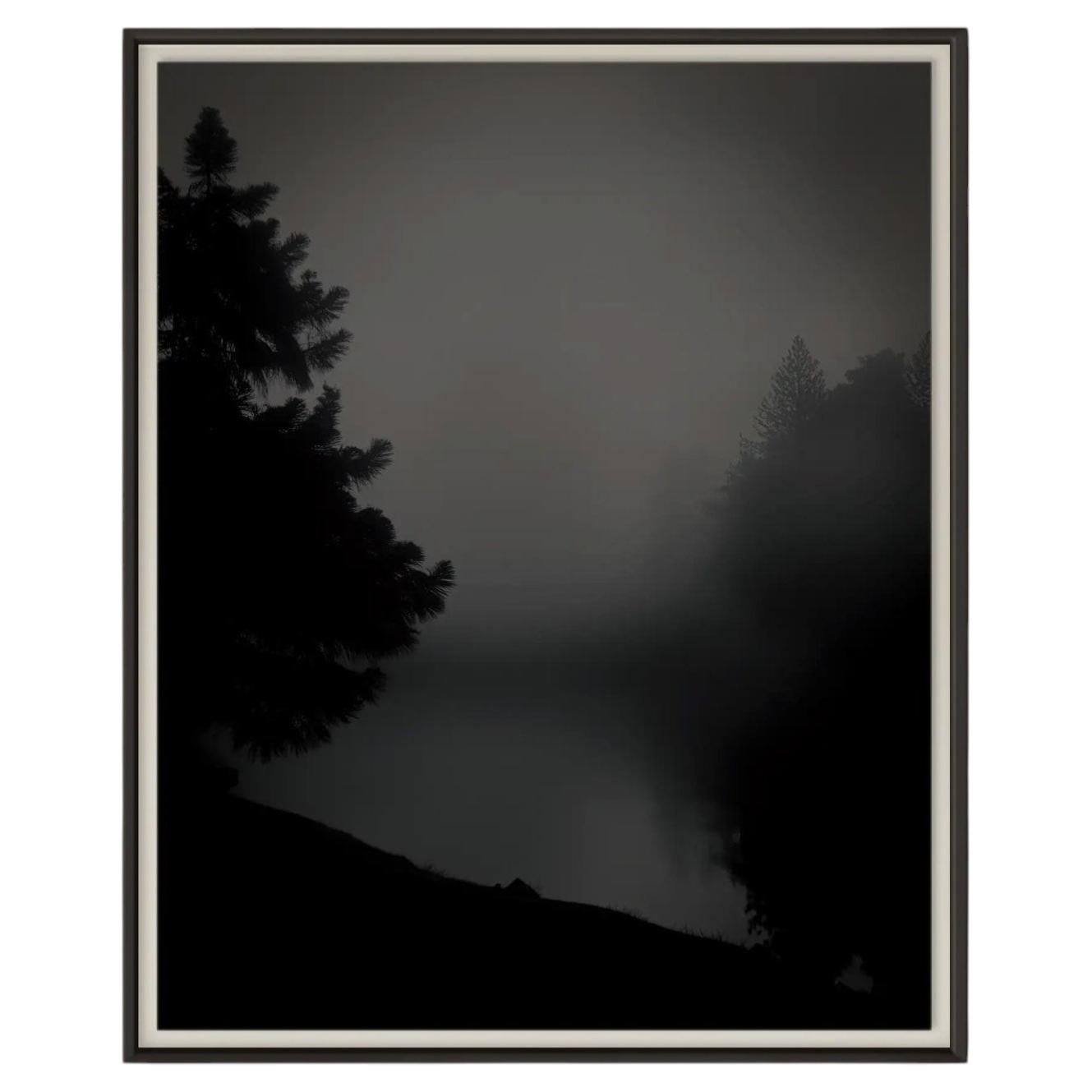 Algonquin Limited Edition Art Photograph, Modern, Signed For Sale