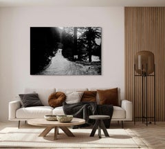 Wolf, large scale, landscape, black and white photographic print on canvas