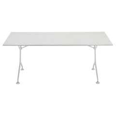 Encadrement Alias 190F avec plateau blanc et cadre en aluminium laqué d'Alberto Meda