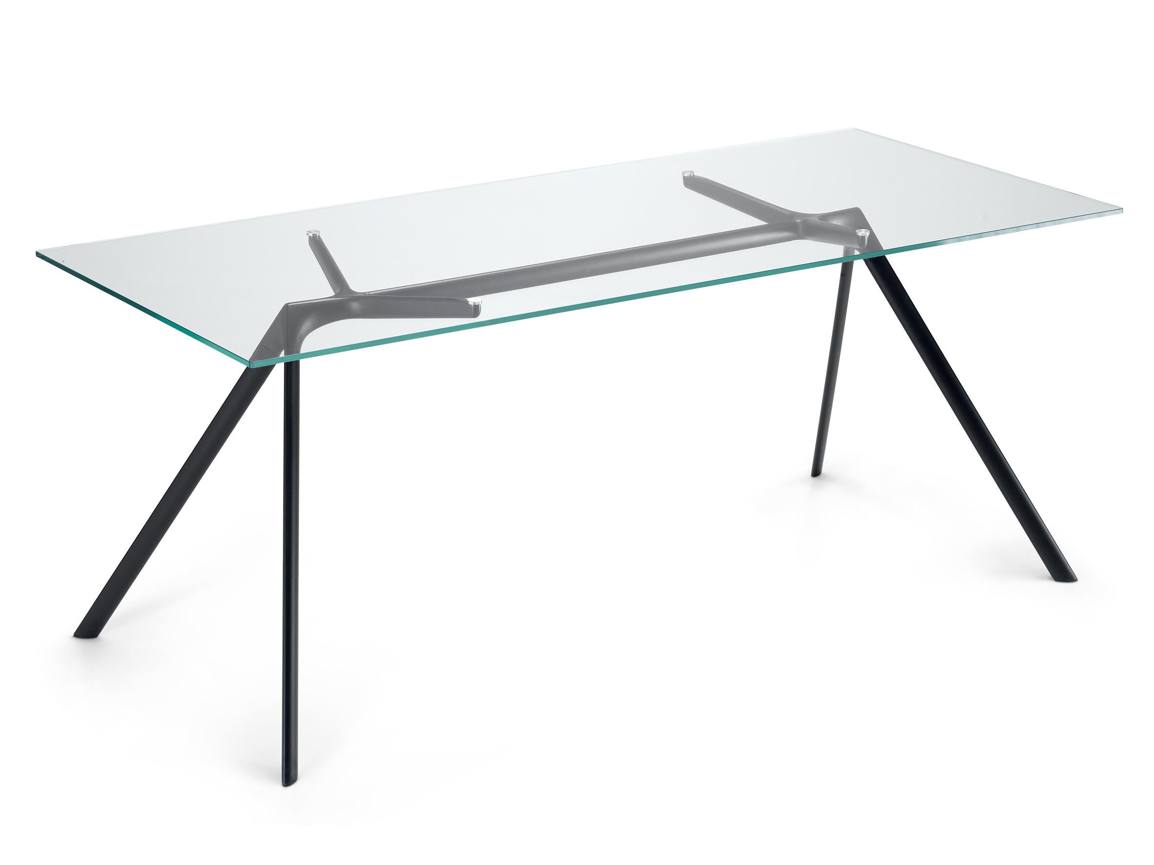 Alias Large Dry 45A Table in Glass Top with Black Lacquered Aluminium Frame by Alberto Meda

Table with structure made of lacquered aluminium elements. Top in extra light tempered glass, thickness 10 mm. Available with predisposition for cable