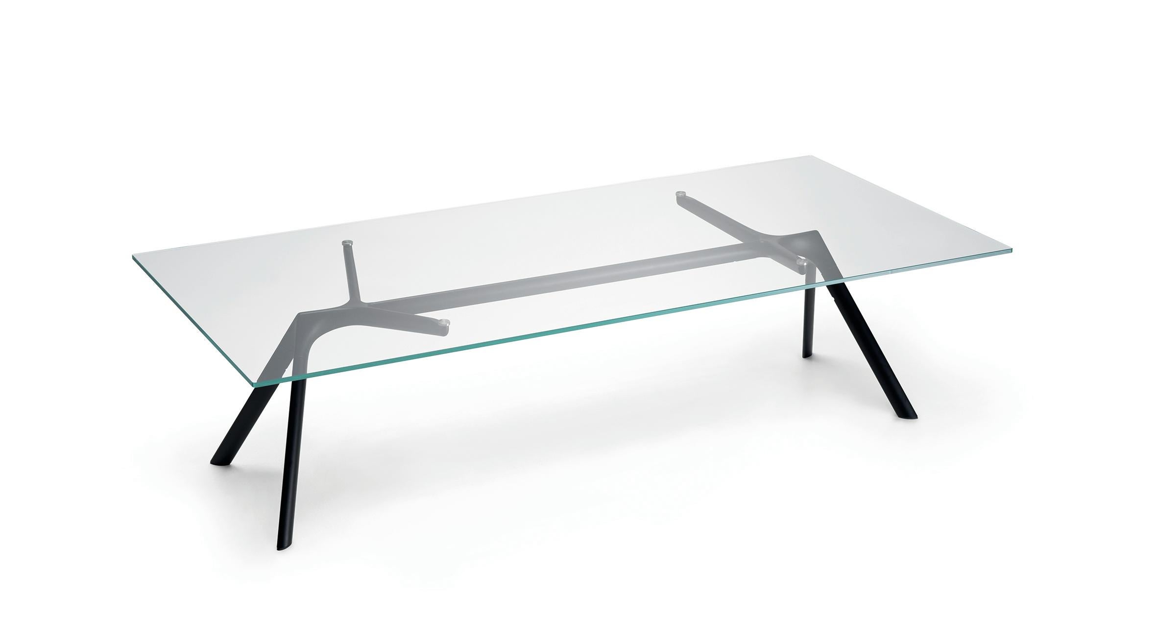 Alias Large Dry XS 45B Table in Glass Top with Black Lacquered Aluminium Frame by Alberto Meda

Low table with structure made of lacquered aluminium elements. Top in extra light tempered glass, thickness 10 mm.

Born in Lenno Tremezzina (Como),