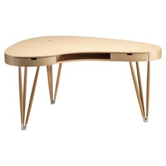 Bureau Alias Plettro W01 par Paolo Rizzatto
