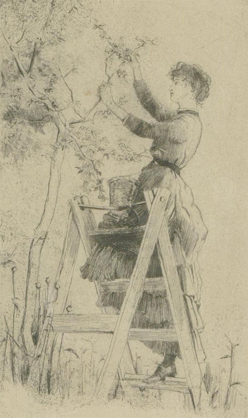 Attrib. Alice B. Woodward (1862-1951) - 1885 Etching, Gathering Plums For Sale 1