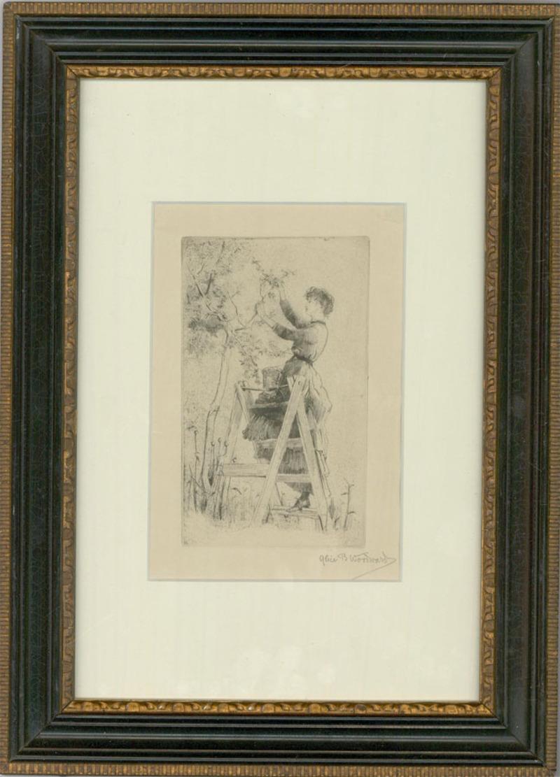 This charming etching depicts a woman on a ladder plucking plums from a tree. Her gentle features and flowing dress are captures with a delicate hand. Signed below the plate lines. Well presented in a Hogarth style frame.





