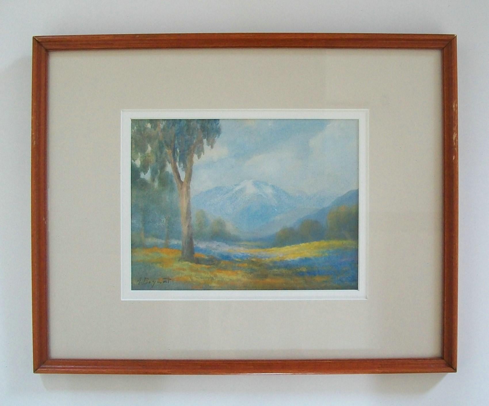 ALICE DANIELS BRYANT (1879-1944) - Acquerello impressionista californiano - veduta di montagna con alberi di eucalipto e bluebonnets in primo piano - tavole opache con doppio bordo smussato sotto vetro - cornice d'epoca in legno tinto - firmato A.