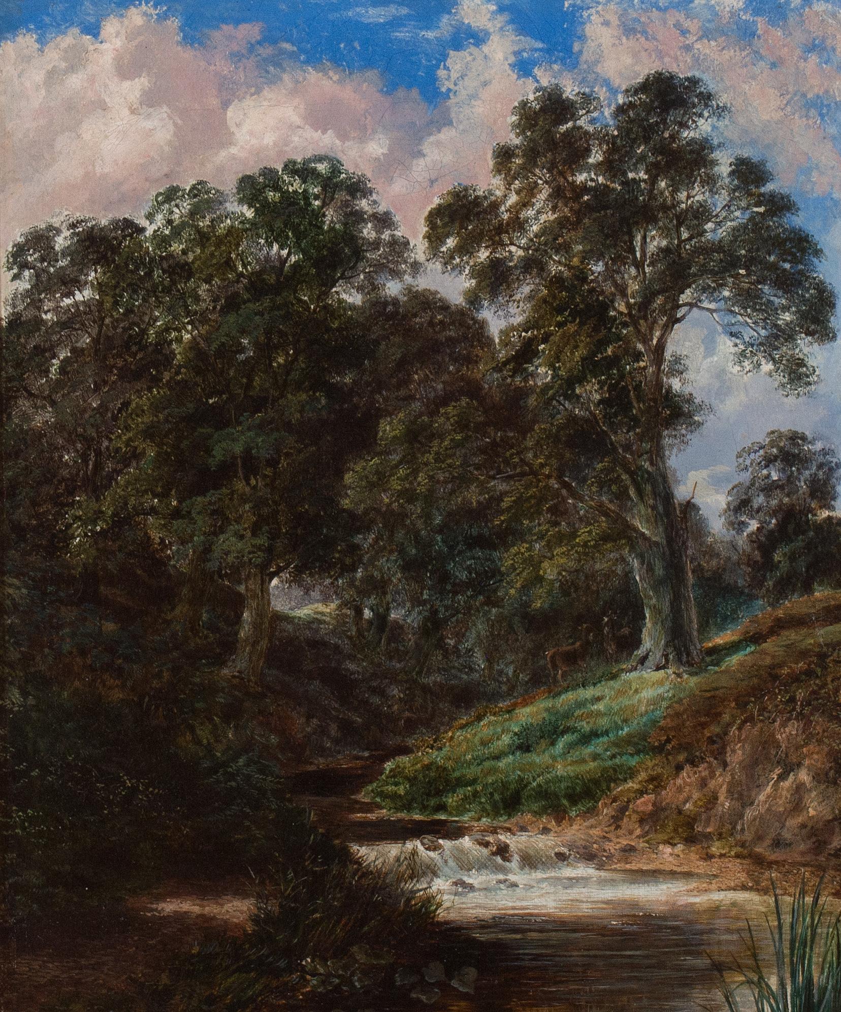 Ein kleines Ölgemälde von Hirsch in einem Wald, spätes 19. Jahrhundert – Painting von Alice G. Gropper