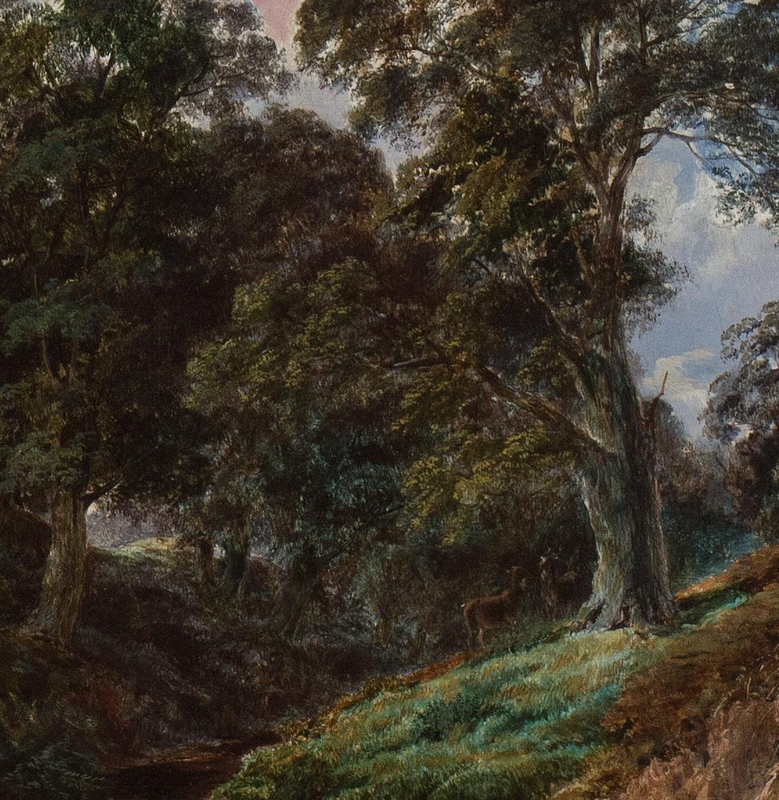 Ein kleines Ölgemälde von Hirsch in einem Wald, spätes 19. Jahrhundert (Realismus), Painting, von Alice G. Gropper