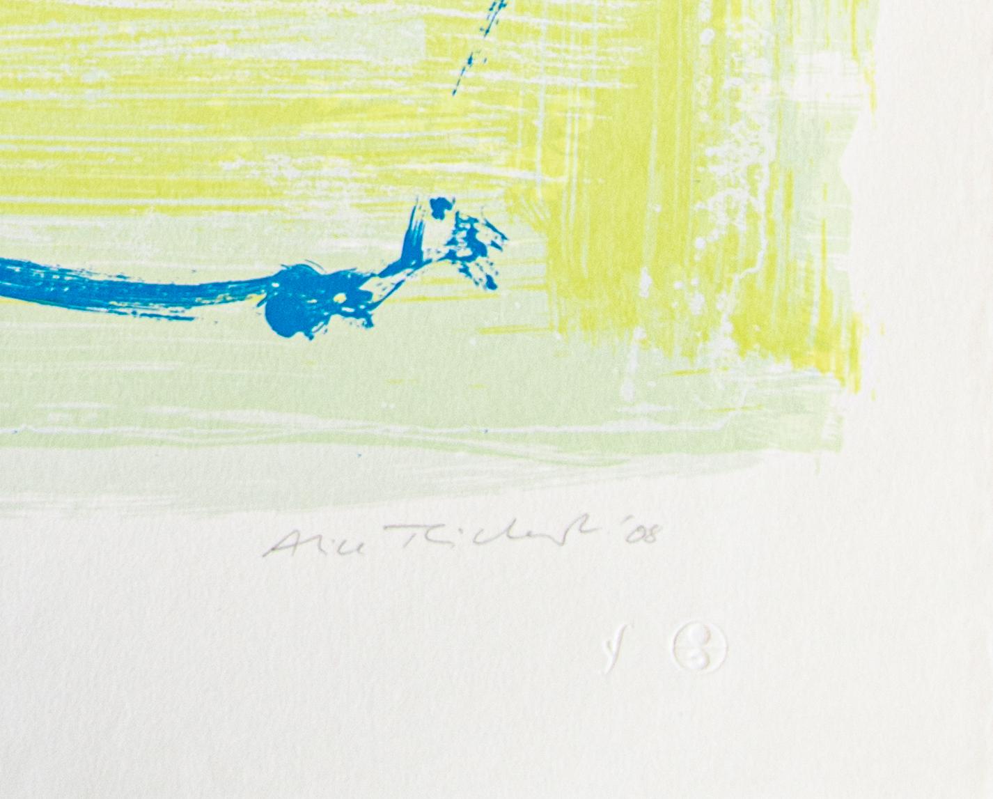 In einer Symphonie aus Farbe und Form schuf Alice Teichert mehr als 40 Zeichnungen mit schwarzer Tinte und Acryl auf Mylar, die sie auf Siebdrucke übertrug. The Text is Still Unwritten