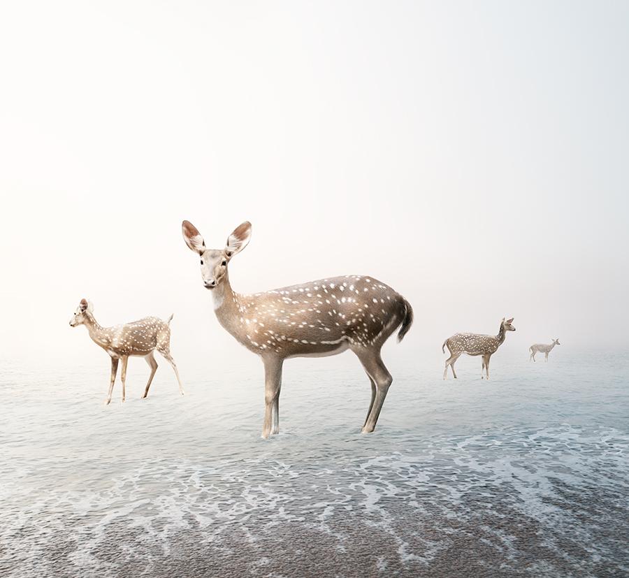 Alice Zilberberg Animal Painting - Stay Me Deer (60" x 65")