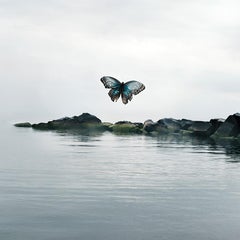 Alice Zilberberg - Be with Me Butterfly, photographie 2021, imprimée d'après