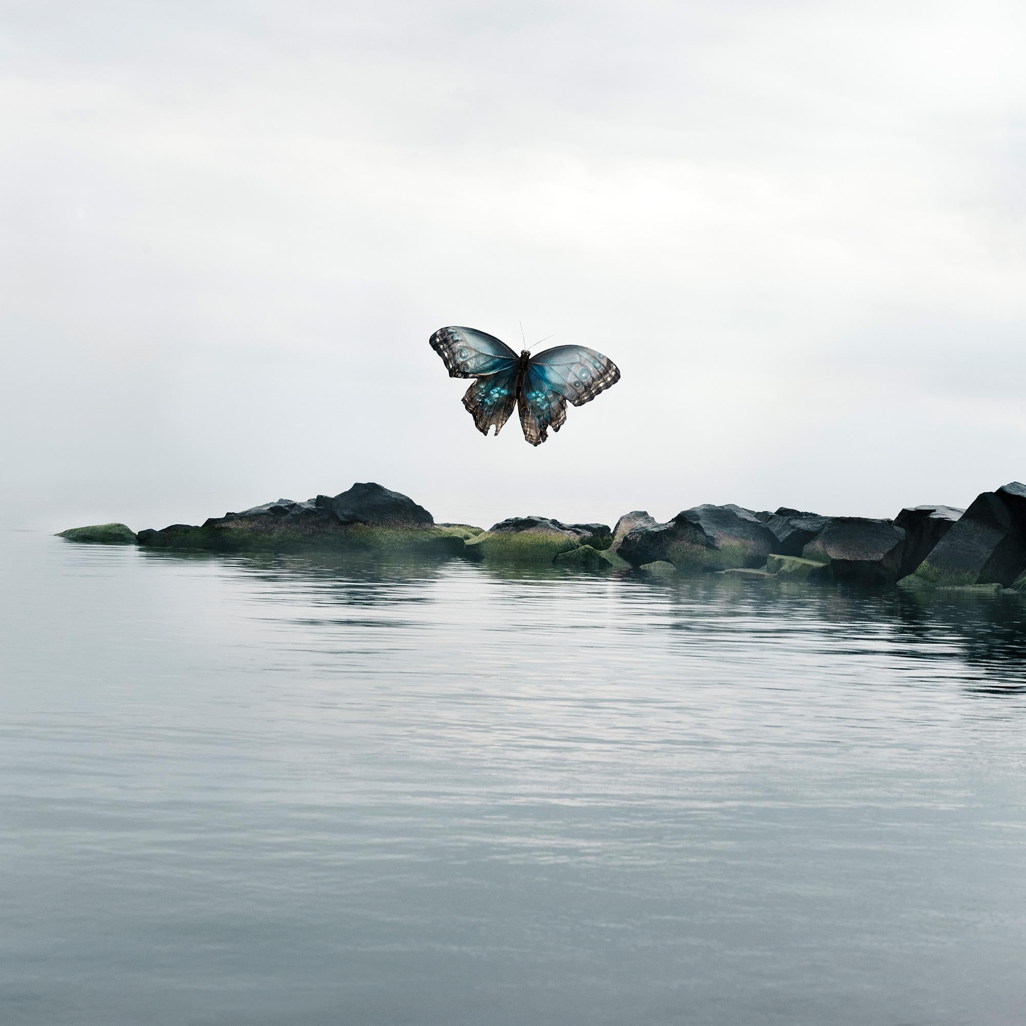 Alice Zilberberg Color Photograph – Sei mit mir Schmetterling